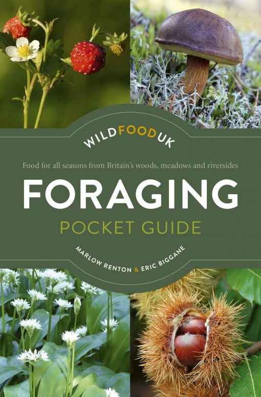 Foraging Pocket Guide