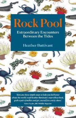 Rock Pool: Extraordinary Encounters Between the Tides: A Life -Long Fascination told in Twenty-Four Creatures
