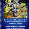 The Powdery Mildews (Erysiphales) of Wales: An Identification Guide and Census Catalogue