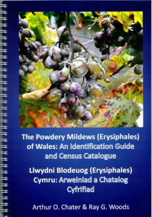 The Powdery Mildews (Erysiphales) of Wales: An Identification Guide and Census Catalogue