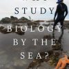 Why Study Biology by the Sea?