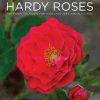 Hardy Roses: The Essential Guide for High Latitudes and Altitudes