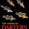 The American Darters
