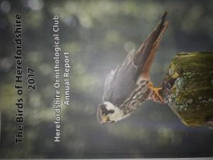 The Birds of Herefordshire 2017: 2017: 67