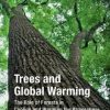 Trees and Global Warming: The Role of Forests in Cooling and Warming the Atmosphere