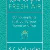How To Grow Fresh Air: 50 Houseplants That Purify Your Home Or Office