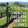 Healthy Soils for Healthy Vines: Soil Management for Productive Vineyards