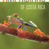 Amphibians of Costa Rica: A Field Guide