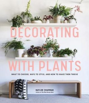 Decorating with Plants: What to Choose, Ways to Style, and How to Make Them Thrive