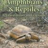 Arizona's Amphibians & Reptiles: A Natural History and Field Guide