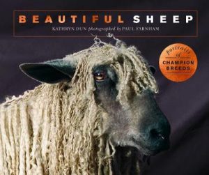 Beautiful Sheep: Portraits of champion breeds