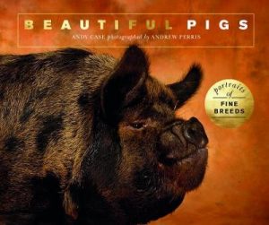 Beautiful Pigs: Portraits of champion breeds