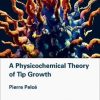 A Physicochemical Theory of Tip Growth