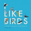 I Like Birds: A Guide to Britain's Avian Wildlife