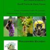 Worcestershire's Bumblebees: A Review of Bumblebees Found in Worcestershire