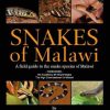 Snakes of Malawi: A field guide to the snake species of Malawi