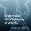 Systematics and Phylogeny of Weevils: Volume 2