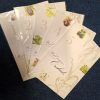West European Orchids 1-5 set out in a fan shape