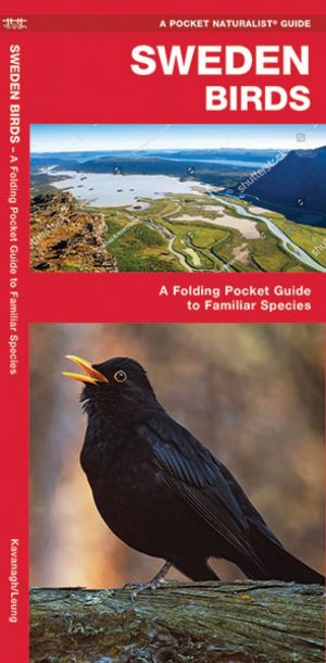 Sweden Birds A Folding Pocket Guide to Familiar Species