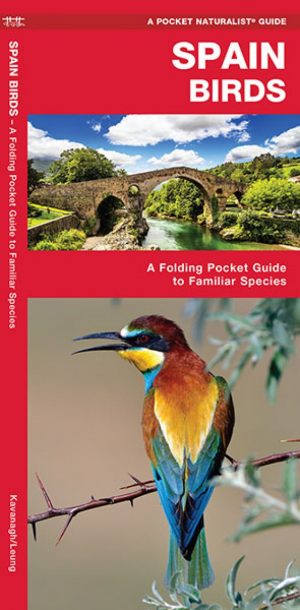 Spain Birds A Folding Pocket Guide to Familiar Species