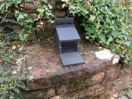 Squirrel Feeder Box