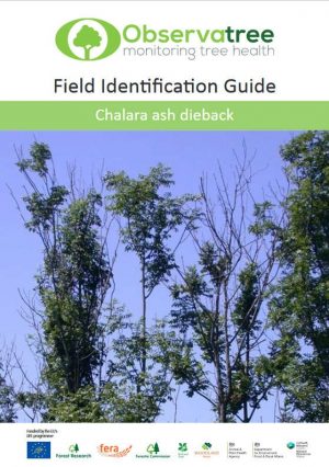 Chalara ash dieback : Observatree guides