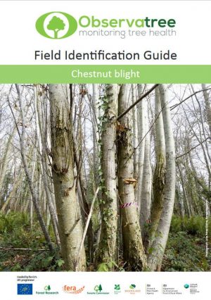 Chestnut blight : Observatree guides