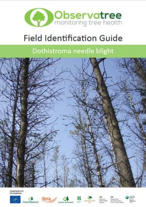 Dothistroma needle blight : Observatree guides