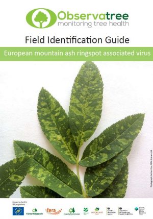 European mountain ash ringspot associated virus : Observatree guides