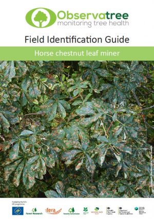 Horse chestnut leaf miner: Observatree guides