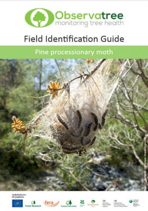 Pine processionary moth : Observatree guides