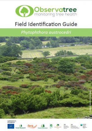 Phytophthora austrocedri : Observatree guides