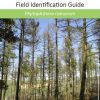 Phytophthora ramorum : Observatree guides