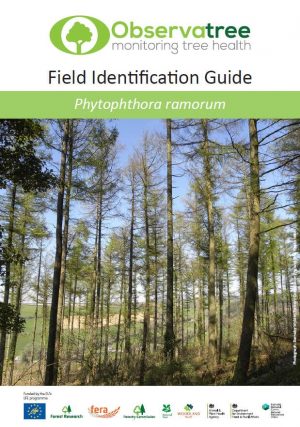 Phytophthora ramorum : Observatree guides