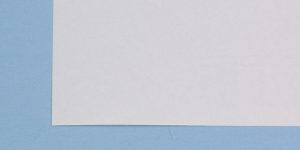 Botanical drying paper - per quire