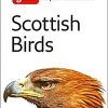 Scottish Birds