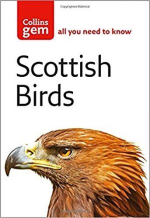 Scottish Birds