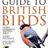Collins BTO Guide to British Birds