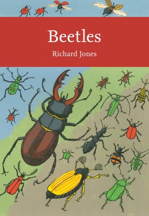 New Naturalist 136. Beetles - hardback