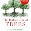 The Hidden Life of Trees - paperback