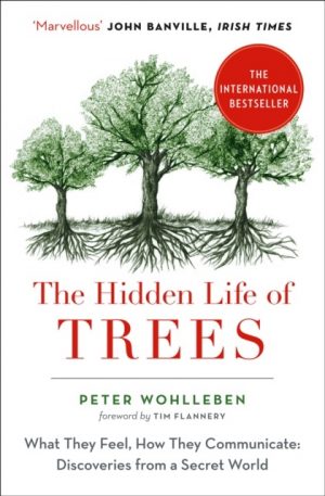 The Hidden Life of Trees - paperback