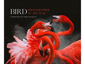 Bird Photographer of the Year, Collection 3