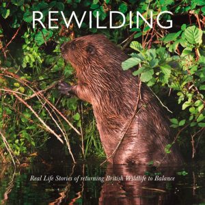 Rewilding Real Life Stories of Returning British Wildlife to Balance