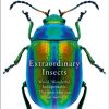 Extraordinary Insects : Weird. Wonderful. Indispensable. The ones who run our world.
