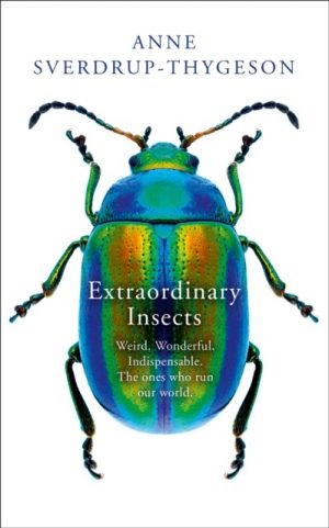 Extraordinary Insects : Weird. Wonderful. Indispensable. The ones who run our world.