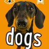 i-spy dogs book cover