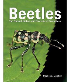 Beetles: The Natural History and Diversity of Coleoptera