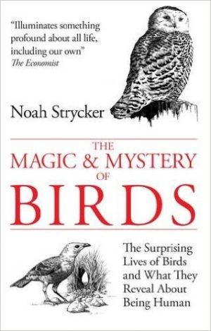 The Magic & Mystery of Birds - The Surprising Lives of Birds and What They Reveal About Being Human