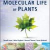 The Molecular Life of Plants