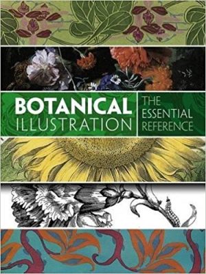 Botanical Illustration The Essential Reference